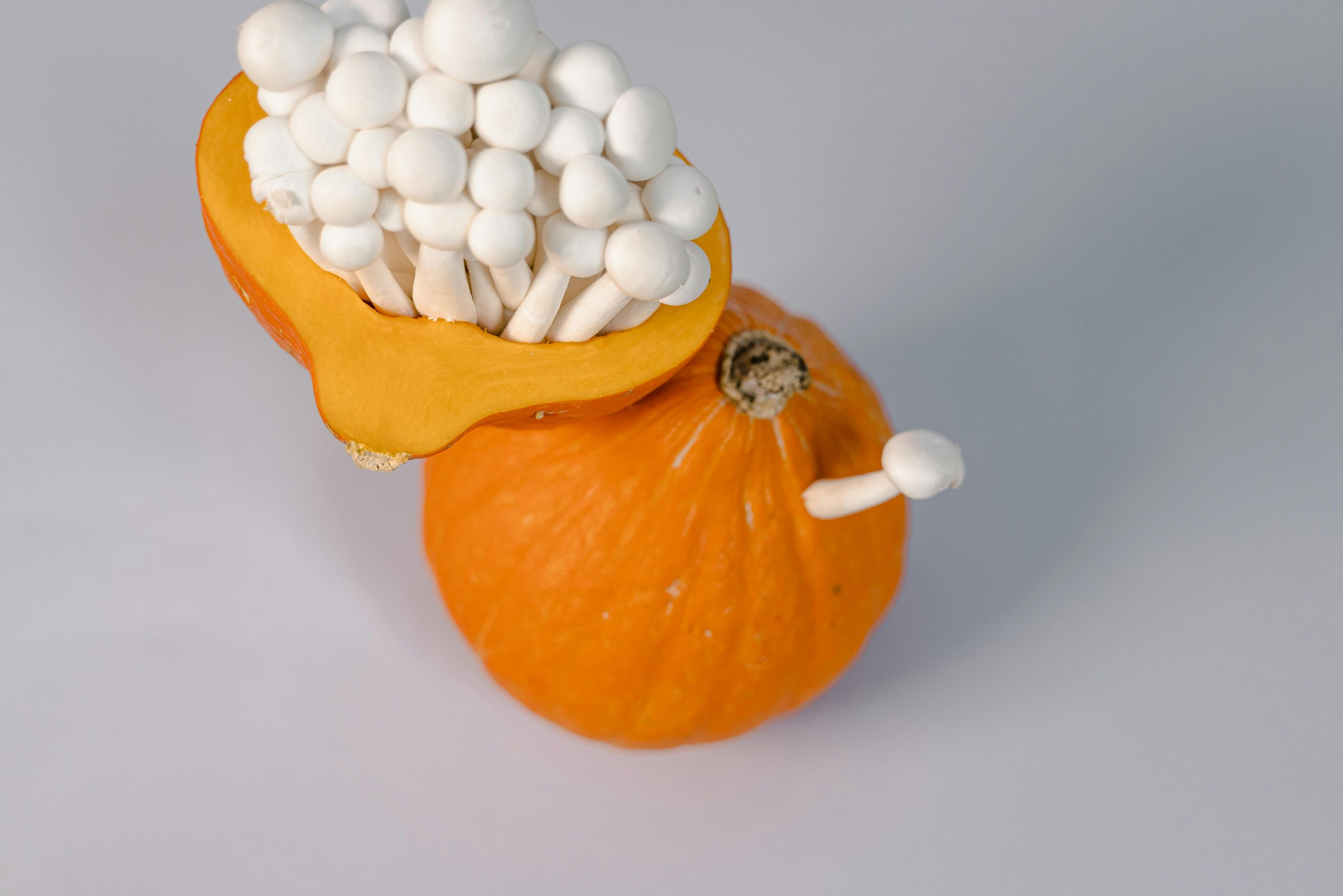 Molecular Farming's Harvest: Designing Better Ingredients for Health